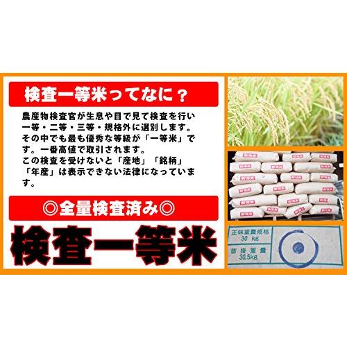 新米 5年産 埼玉県産 コシヒカリ白米 5kg (5kg×1袋) （検査一等米）