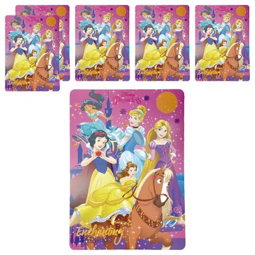 收納王妃 迪士尼 公主系列 雙面墊板 WP0597 6個 1組  25.4  x 18.2cm  5位公主款