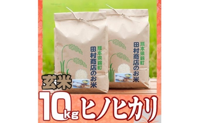 米 10kg 令和5年 ヒノヒカリ 5kg×2 玄米 こめ