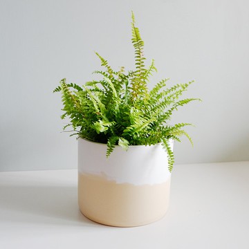 初泥 true nii | 彩顏水泥盆(6吋盆) -布丁牛奶