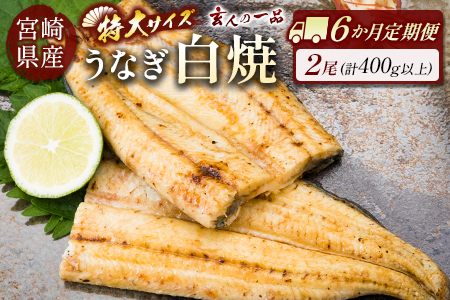 ＜6か月定期便＞うなぎ白焼き 2尾 計400g以上