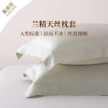 樂優家A類天絲枕套一對裝家用夏季冰絲枕頭套高級感成人單人純色