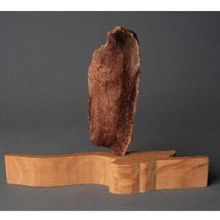 菩提樹(13)-覺樹照空明