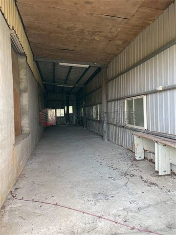 觀音草漯新坡農.角地.有水電.送鐵皮｜桃園市觀音區新坡