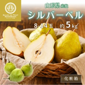 [予約 2023年11月1日-11月30日の納品] 洋梨 シルバーベル 約5kg 8玉-14玉 山形県産 他 秋ギフト ラフランス 梨 果実専用箱 冬ギフト お歳