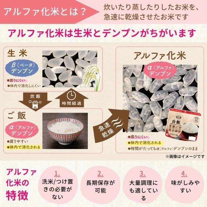 送料無料 アルファー食品 安心米 山菜おこわ 100g ×15袋 114216681 |b03