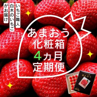 ふるさと納税 小郡市 いちご職人 白木のいちご あまおう化粧箱 4回コース