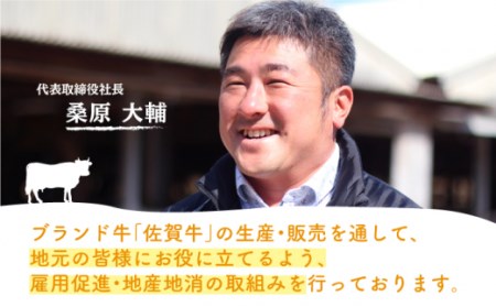  佐賀牛 A5 サーロイン ステーキ 400g (2枚切)[NAB068]  佐賀牛 牛肉 肉 佐賀 黒毛和牛 佐賀牛A5 佐賀牛a5 牛肉A5 牛肉a5 佐賀牛ステーキ 牛肉ステーキ 佐賀牛焼肉 牛肉焼肉 佐賀牛焼き肉 牛肉焼き肉 佐賀牛BBQ 牛肉BBQ 佐賀牛サーロイン 牛肉サーロイン アウトドア