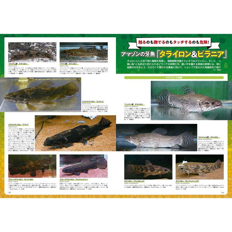 怪魚飼育マガジン GIGAS(ギガス) 2023 vol.06 雑誌