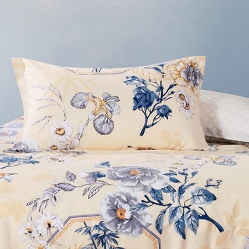 家紡枕頭皮枕套一對純棉大號成人印花春季48*74 單雙人