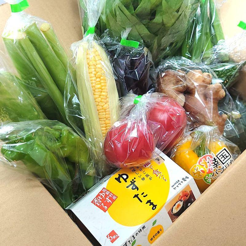 高知県産 野菜たっぷり10品目以上＋たまご「ゆずたま」野菜セット 採れたて 旬の新鮮お野菜 おまかせ詰め合わせ