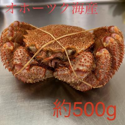 ふるさと納税 佐呂間町 オホーツク産　浜茹で毛蟹　約500g×1パイ　冷凍便