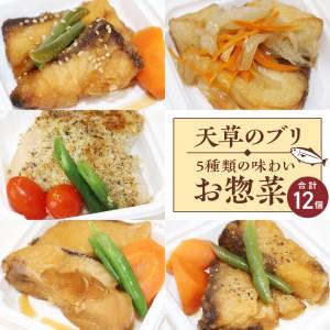 ふるさと納税 S010-064_ブリの惣菜5種類12食セット 熊本県天草市