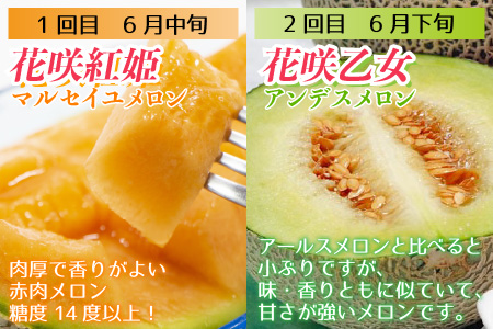 《全7回》あわら大満足 7種 フルーツ定期便 《あわらの旬が満載！》／ 果物 旬 食べ比べ 贈り物 定期便 マルセイユ アンデス アールス 大玉スイカ 梨 柿 ※2024年6月中旬以降順次発送