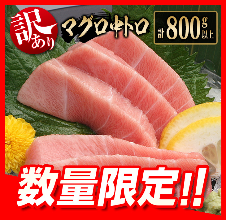 E40-23 訳あり≪数量限定≫マグロ中トロ(計800g以上)　魚　魚介　国産