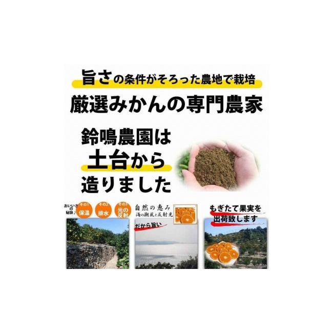 ふるさと納税 和歌山県 有田川町 ＜12／26までの注文は年内発送＞ みかん ご家庭用　和歌山県有田川町産　有田みかん10kg