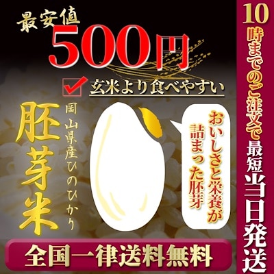 お米 令和5年 新米 岡山県産 ヒノヒカリ胚芽米600g ぽっきり お試し メール便