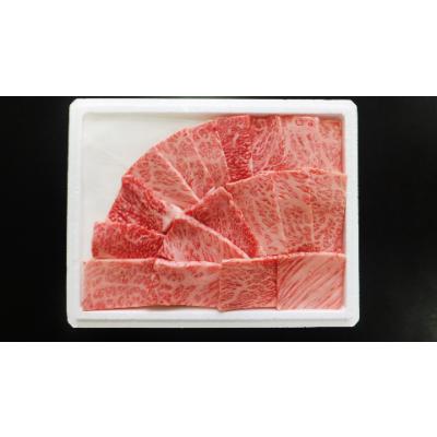 ふるさと納税 山形県 山形牛焼肉セット(2種) 600g