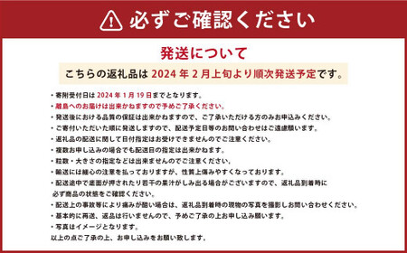  ゆうべに いちご 250g × 10パック 合計 2.5kg 苺 イチゴ フルーツ 果物 くだもの