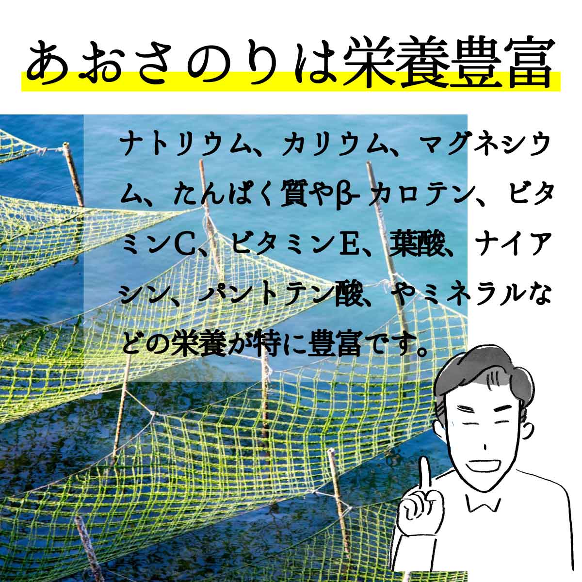 アオサノリ 「 国産 あおさのり 100g 」 無添加 乾燥 ひとえぐさ 無着色 国産 愛知県 アオサ あおさのり