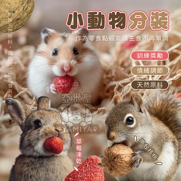 小動物草莓凍乾/美國帶殼核桃 倉鼠磨牙零食 1包三入 小寵物零食 磨牙零食 果乾 鼠兔/鳥/鸚鵡【亞米屋Yamiya】
