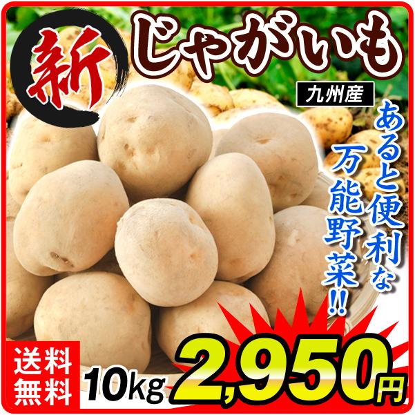 芋　10kg　送料無料　じゃがいも　九州産　LINEショッピング　馬鈴薯　食品