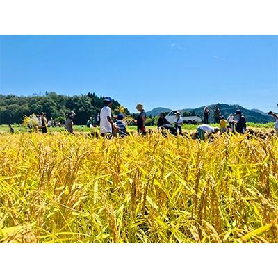 ふるさと納税 長浜市 滋賀県西浅井町産コシヒカリ「まるこ米」5kg×4