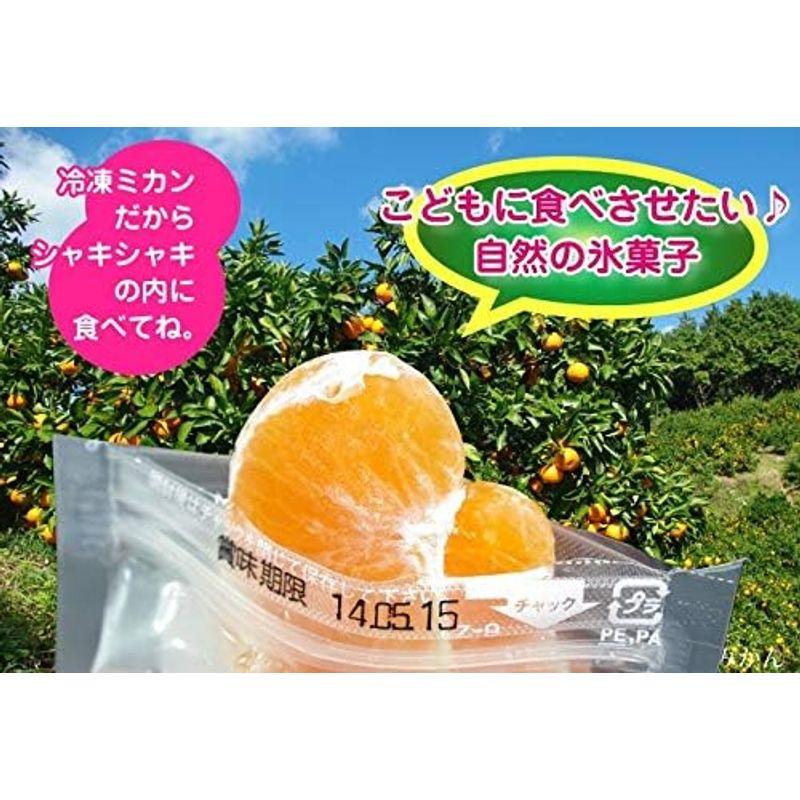 愛媛 冷凍みかん 500ｇ 2袋(合計1kg)粒楽 家庭用・おやつ・ギフト