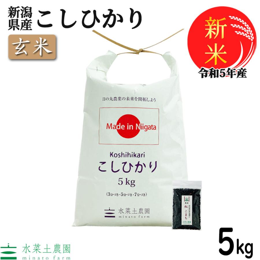 新米 米 お米 米5kg 玄米 こしひかり 令和5年産 新潟県産 古代米お試し袋付き