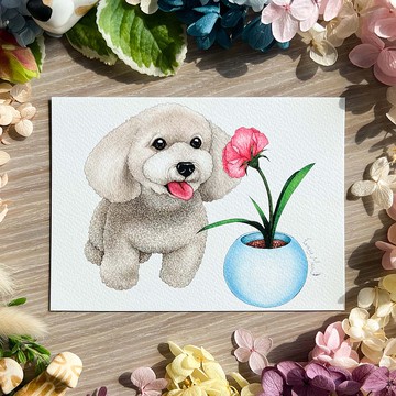 【貓瘋子】明信片(117)