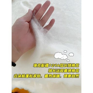 新疆一級長絨棉花被子秋冬天被芯棉絮全純棉加厚被子蓋被棉胎鋪底