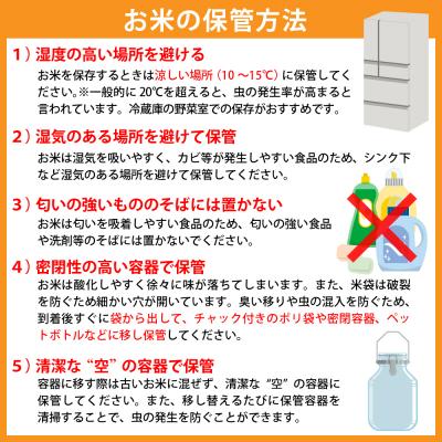 ふるさと納税 河北町 2023年12月下旬スタート はえぬき120kg(20kg×6ヶ月)定期便 山形県産