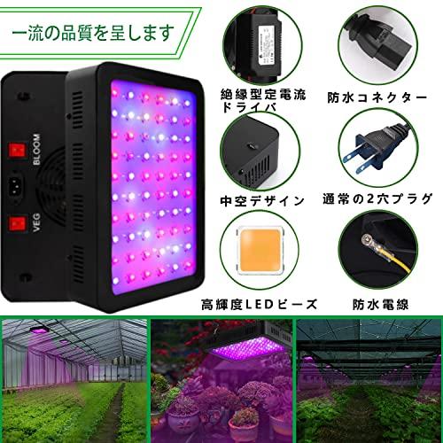 植物成長ライト LED植物育成ライト フルスペクトル 植物ライト 2つのスイッチ 三種類照明モード 植物育成用 水耕栽培ライト 室内用 1200W