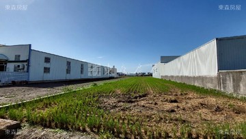 ●彰化水五金農地●可拆開買！無套繪！ 152｜彰化縣鹿港鎮鹿犁段