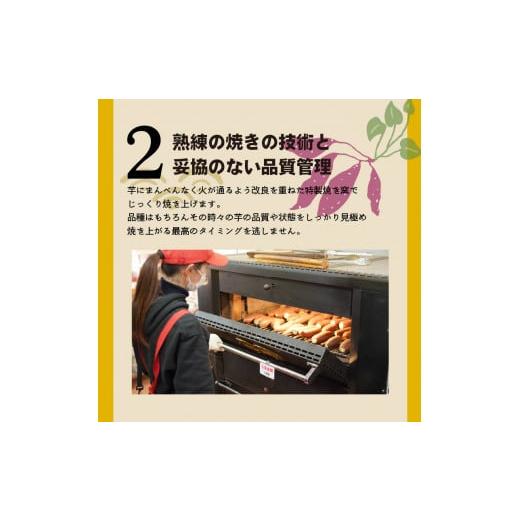 ふるさと納税 愛知県 碧南市 焼き芋 蜜たっぷり！冷やし焼き芋 ひえひえ君 食べ比べ 1kg エレガンス葵＆紅はるか 芋スイーツ　H047-032