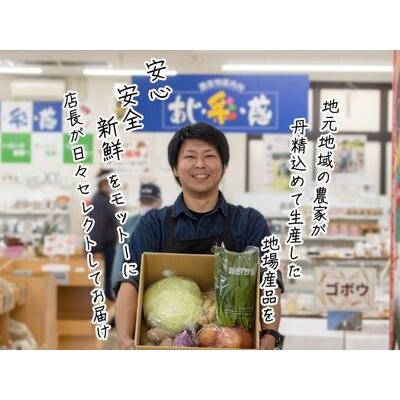 ふるさと納税 世界自然遺産白神山地のまちから〜旬の野菜おまかせセット〜 青森県鰺ヶ沢町