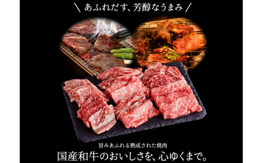 010AA05N.但馬牛経産牛　焼肉用（肩・モモ）500ｇ