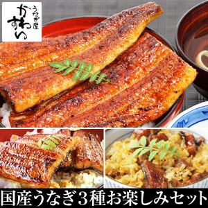 うなぎ屋かわすい 国産 うなぎ 蒲焼き 3種お楽しみセット ウナギ 鰻 蒲焼 ギフト 贈答 プレゼント グルメ 食べ物 送料無料 お歳暮　御歳