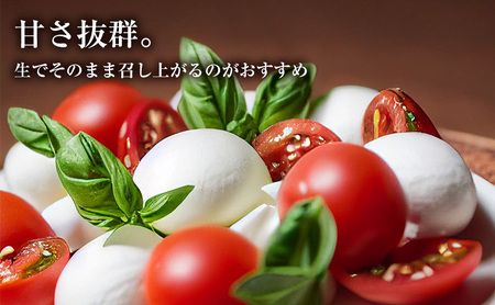 ふらの ミニトマト 3kg（品種：ほれまる）北海道 富良野市