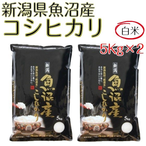 米 お米 白米 10kg コシヒカリ 新潟県 魚沼産 5kg×2袋 令和4年産 送料無料