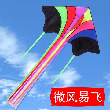 濰坊風箏兒童卡通新款微風易飛抗風手持線輪成人大人初學者風箏