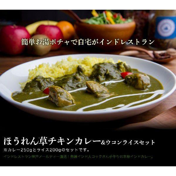 カレー ほうれん草チキンカレー(250g)＆ウコンライス(200g) インドカレー アールティー