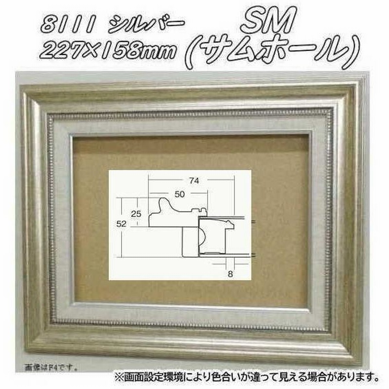 8111 シルバー ＳＭ (サムホール) (227×158mm) アクリル付 油絵額縁