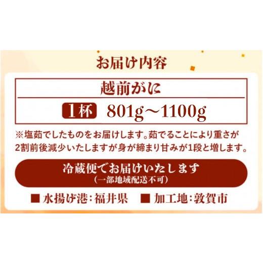 ふるさと納税 福井県 敦賀市 [076-o001] 越前がに × 1杯（茹で前重量：801g〜1100g）【お届けできない時期：12月上旬〜翌…