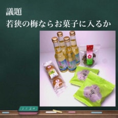 先生!若狭の梅はお菓子に入りますか?セット　目白大学の学生が考案、その12