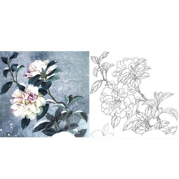 實物參照彩圖 底稿 可上色 列印稿 宣紙 工筆劃白描底稿茶花雪景山水人物花鳥線描實物畫稿宣紙3