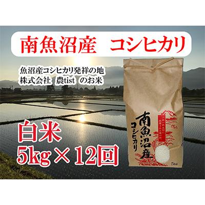 ふるさと納税 南魚沼市 南魚沼産 コシヒカリ 白米5kg 全12回