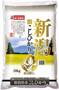 新潟県産 白米 こしひかり 10kg 令和4年産