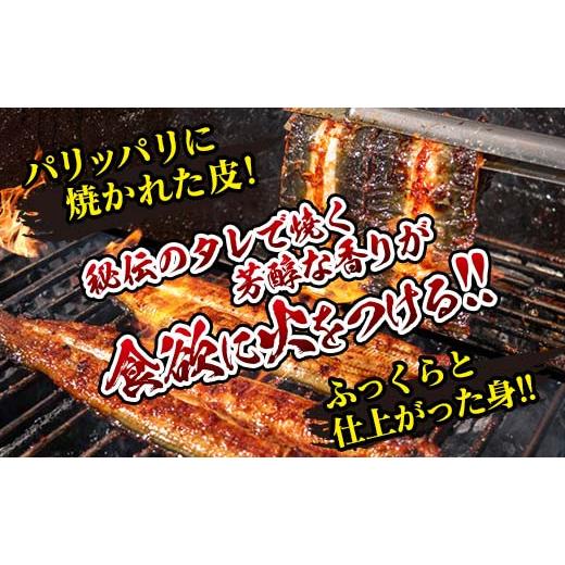 ふるさと納税 宮崎県 日南市 職人手焼きうなぎ蒲焼1尾(計130g以上)　鰻　ウナギ　魚　魚介　国産 BA51-23