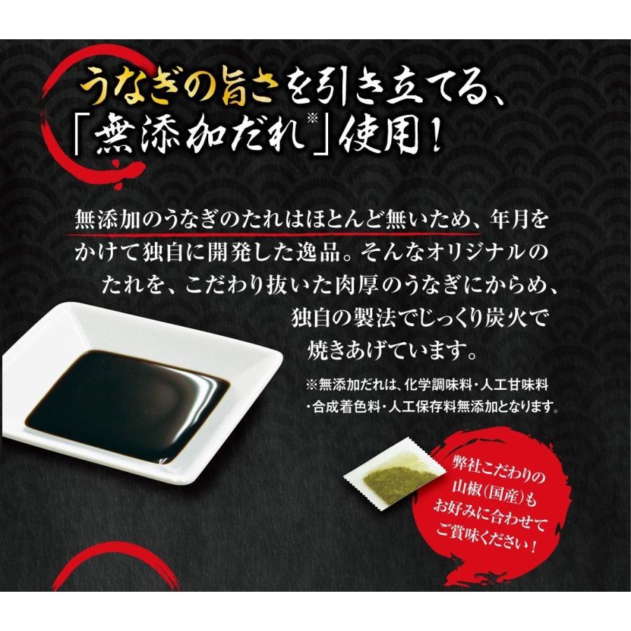 2023 お歳暮 冬ギフト くら寿司 うなぎ長焼 2尾 ギフト専用BOX 230g以上 尾 無添加だれ・山椒付き 送料無料 プレゼント